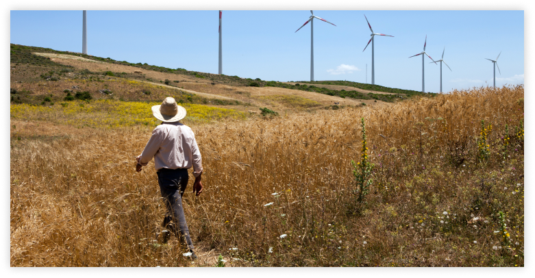 Man in hat walks through fields and looks at wind turbines in the distance