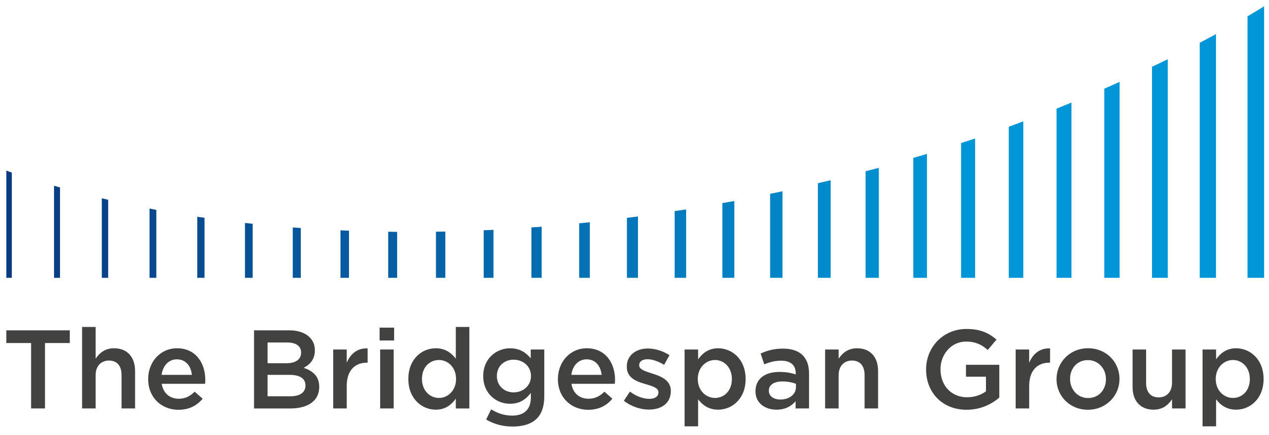 The_Bridgespan_Group_logo.svg (1)